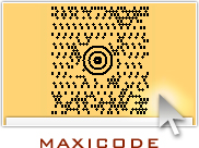Maxi Code