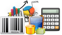 Financial Accounting (Enterprise Edition)