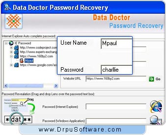 Internet Explorer Password Recovery and Unmask Tool Screenshot