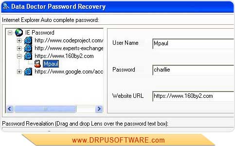 Screenshot of Gmail Password Recovery