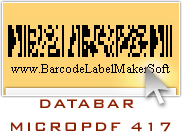 Databar MicroPDF417