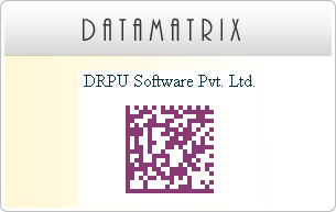 Data Matrix Fonts