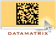 Data Matrix