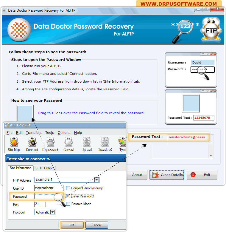 Password Recovery Software For ALFTP