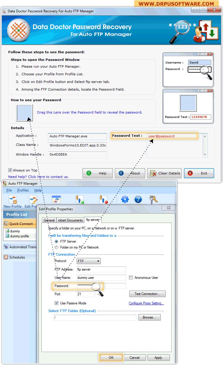 Password Recovery Software For Auto FTP Manager