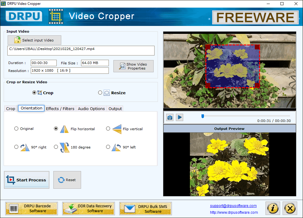 Video Orientation