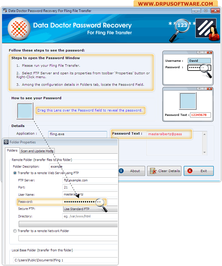 Password Recovery Software for Fling File Transfer