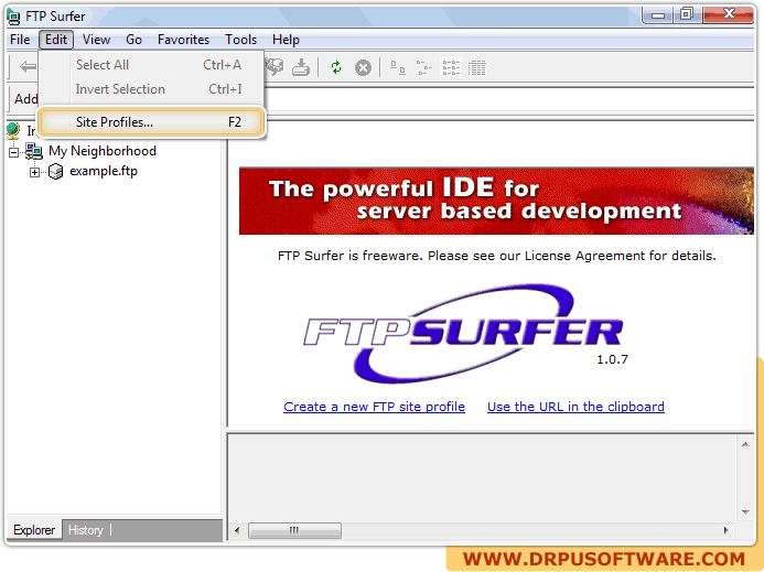 Password Recovery Software For FTP Surfer