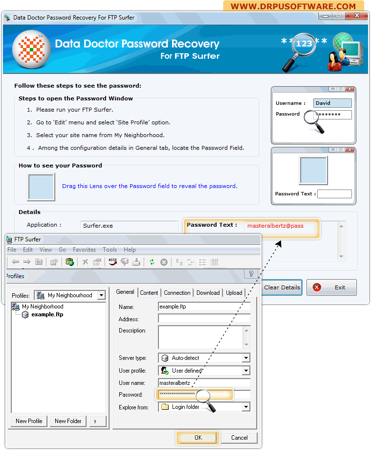 Password Recovery Software For FTP Surfer