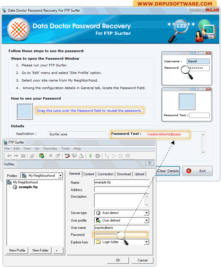 Password Recovery Software for FTP Surfer