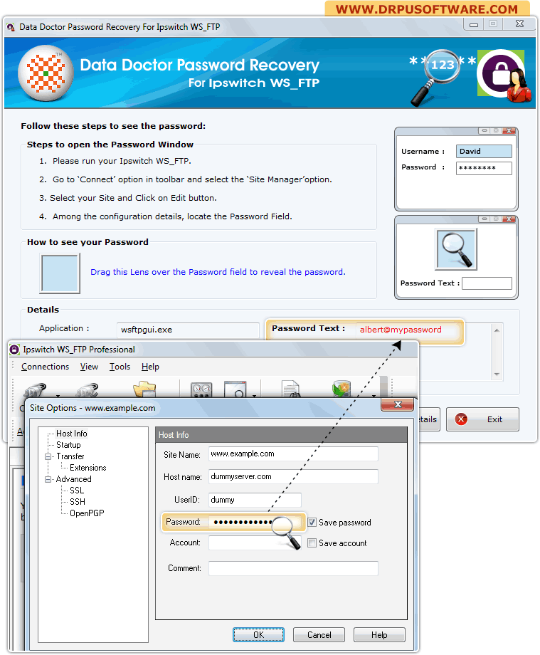 Password Recovery Software For Ipswitch WS_FTP