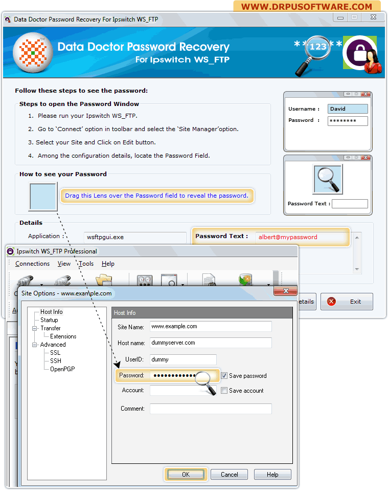 Password Recovery Software for Ipswitch WS_FTP